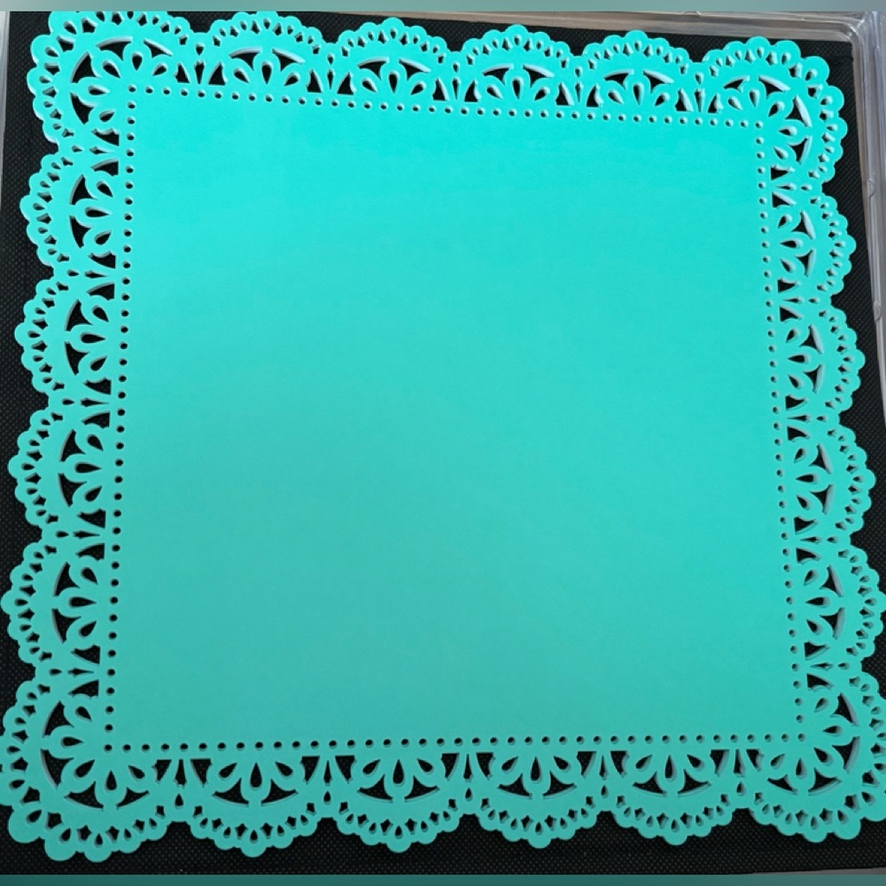 Anna Griffin set of 12 Die Cut Lace 12x12 sheets for scrapbooking & paper crafts